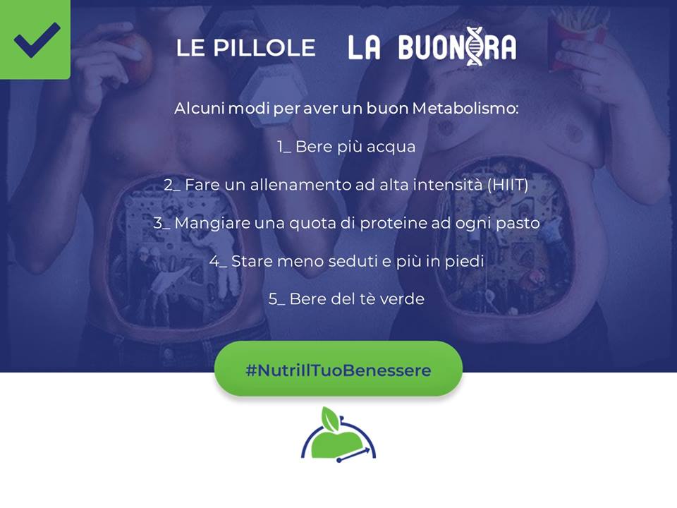 Metabolismo - Le Pillole - La Buonora